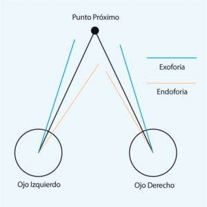 Fijación visual
